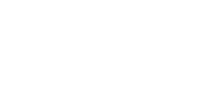 LSG